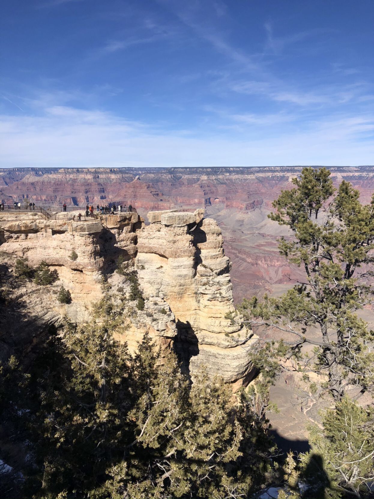 IMG_0176.JPEG
